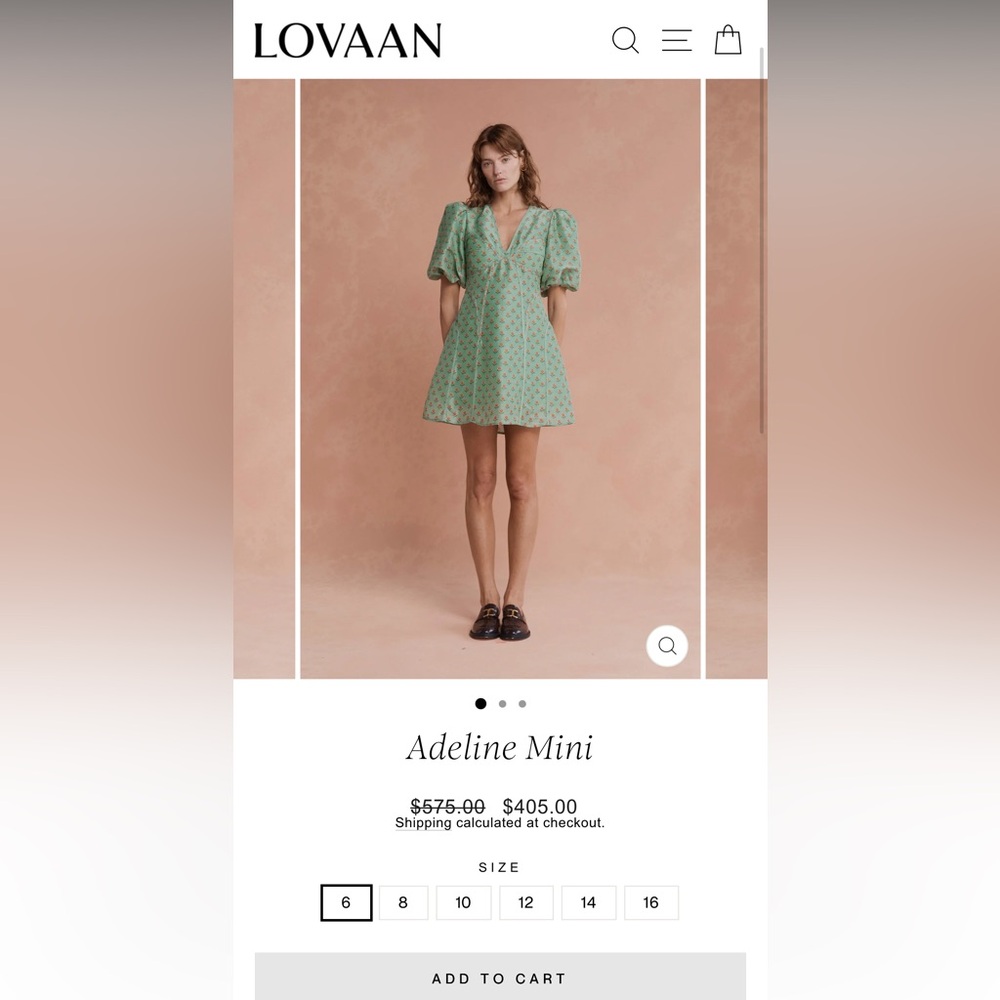 LOVAAN NWT Adeline Mini Puff Sleeve Linen Silk Dress in Green Rosette Size 10 - Picture 11 of 11